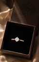 Promise ring-1