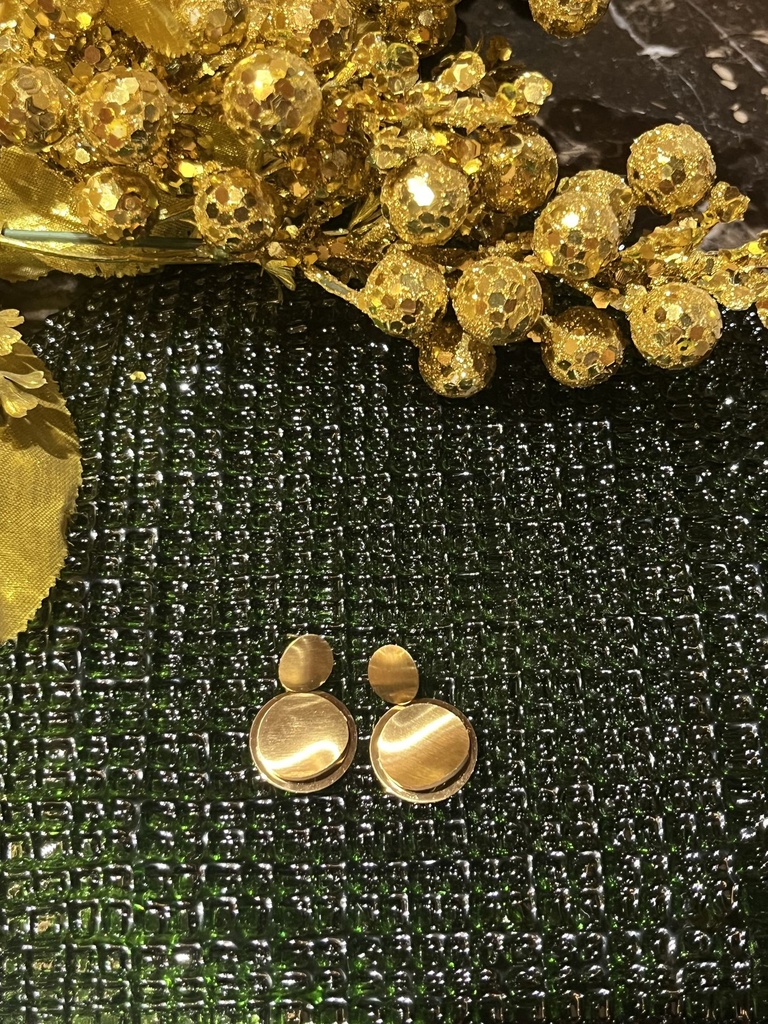 Premium Earrings-Anti Tarnish 1
